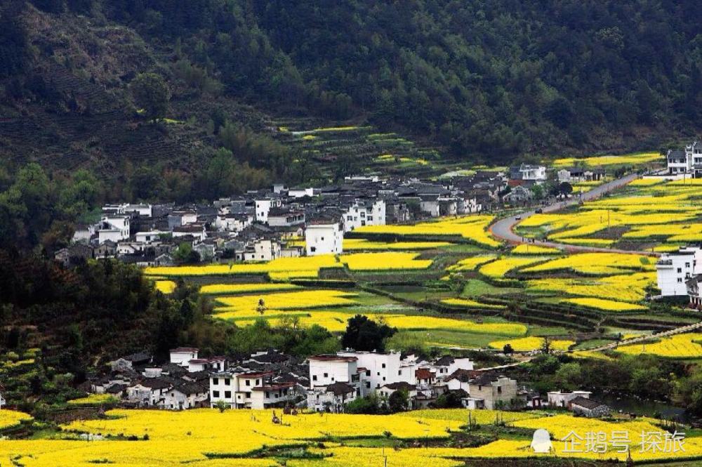 江西,致敬嘉宾与观众朋友们