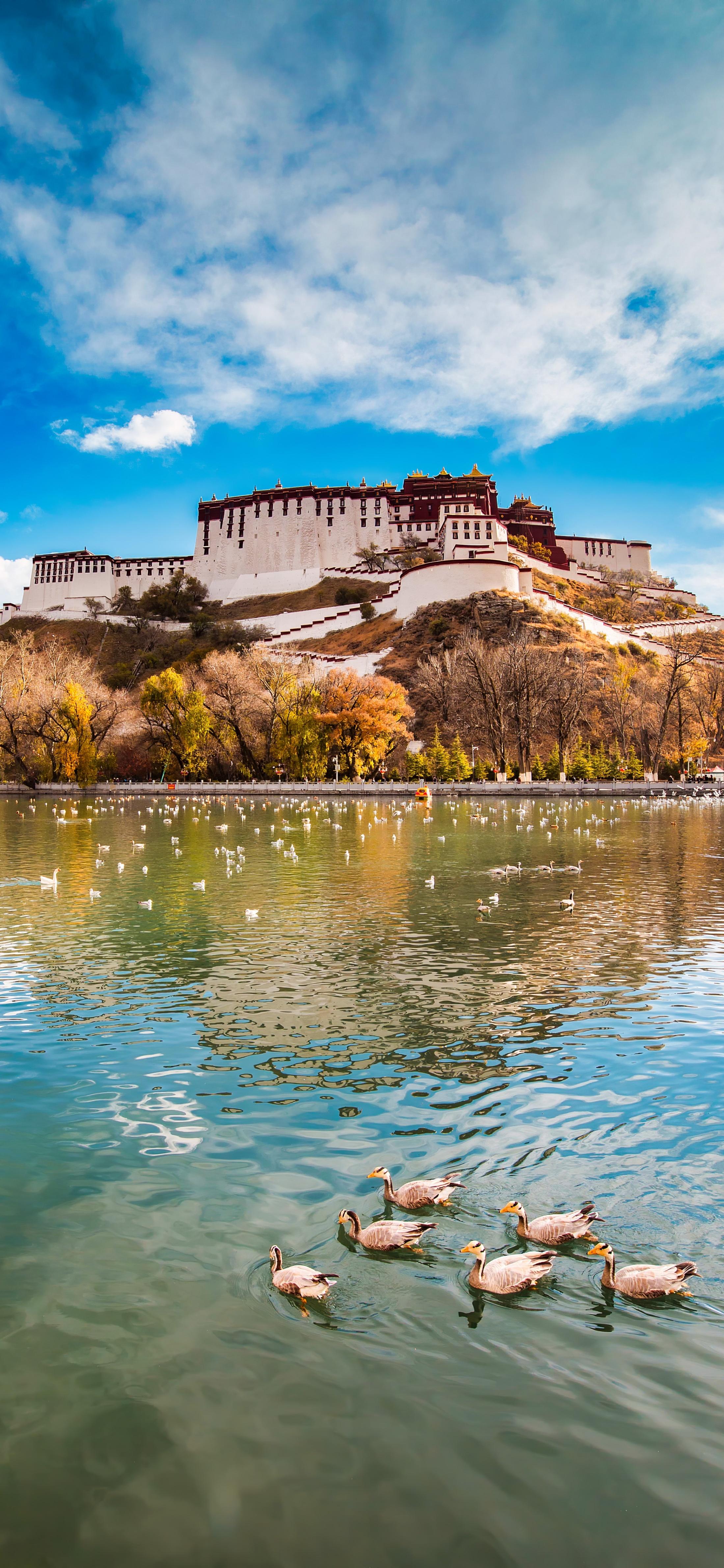 千年藏韵,现代交响——西藏文化交融之旅