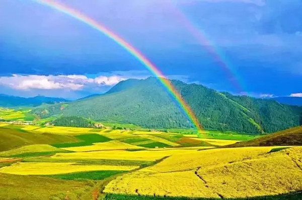 青海，生态宝库中的民族文化瑰宝