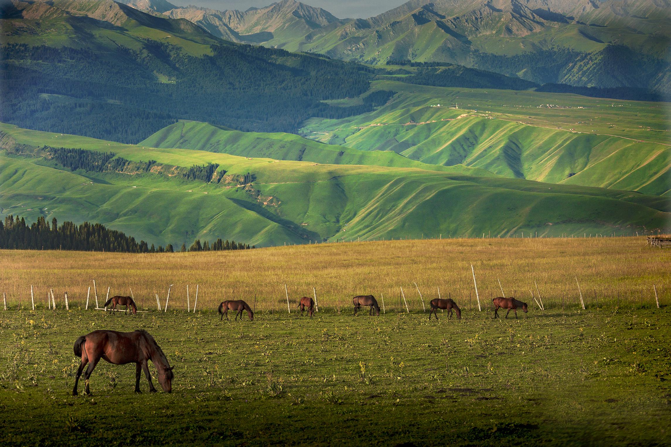 新疆小巷深处的味蕾秘境邂逅