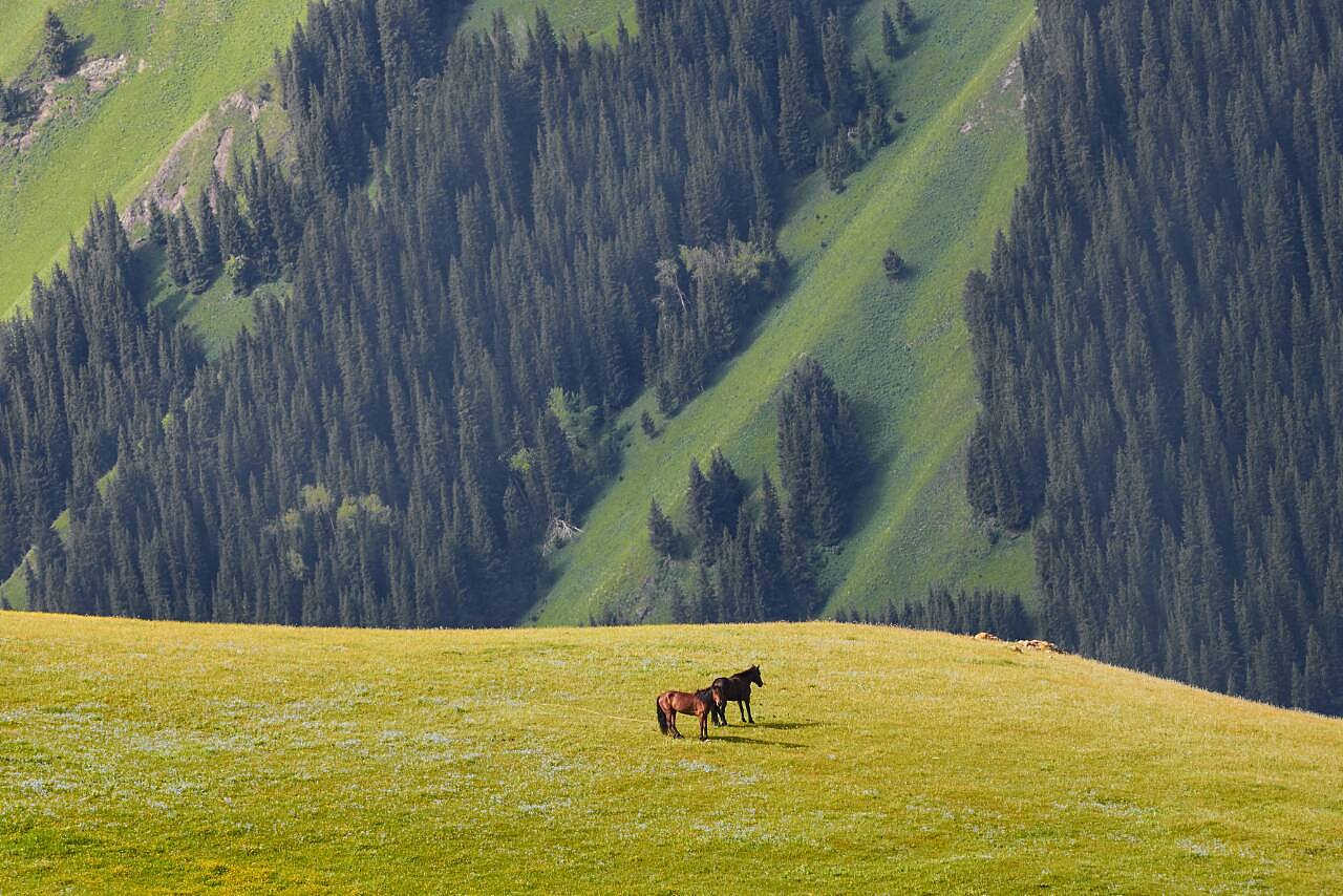 新疆小巷深处的味蕾秘境邂逅